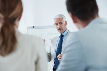 Mature, man and meeting with training in presentation for business, coaching and mentor with...