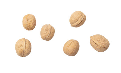 Walnuts isolated white background