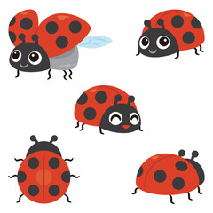 てんとう虫のセット