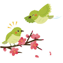 紅梅の枝と2羽のメジロ