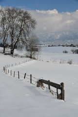 Winterlandschaft