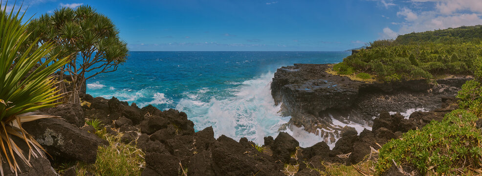 Panorama of Cape M&eacute;chant of Reunion Island and the trees of Vacoa
