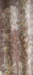 Rusty Zinc Texture Photos Background