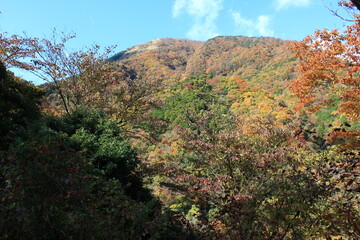 南足柄市矢倉沢の里山。秋の風景。
