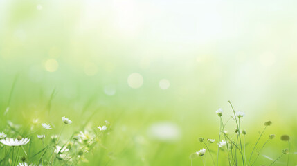 Fototapeta na wymiar Soft Focus on Spring Meadow Flowers with Gentle Morning Dew. Freshness and New Beginnings