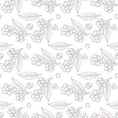 seamless pattern with coffee crop