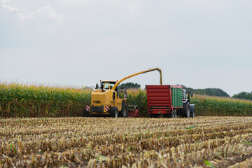 Traktor und Maishäcksler während der Maisernte 