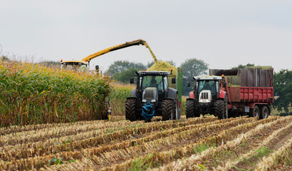Traktor und Maishäcksler während der Maisernte 