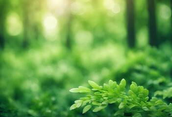 Green leaves in the sun