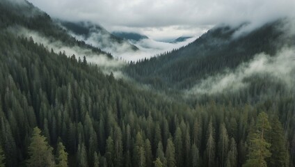 panorama of the mountains