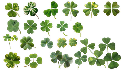 Set collection of lucky clover and shamrock isolated on transparent background