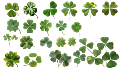 Set collection of lucky clover and shamrock isolated on transparent background