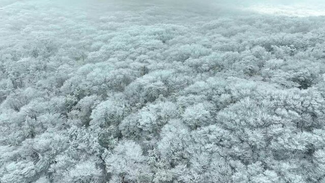 Drone View of Jeju island in South Korea, snow mountain, winter