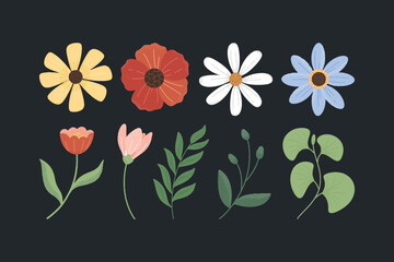 Set of Retro Flower Illustration