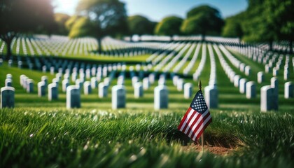 American Flag at Military Cemetery