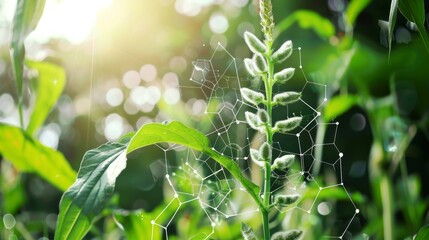 An image zooming in on a genetically modified crop with built-in pest resistance, demonstrating biotechnological solutions for sustainable agriculture and food security.
