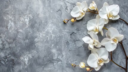White Orchids on Textured Background with Copy Space