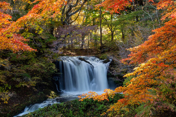 滝と紅葉