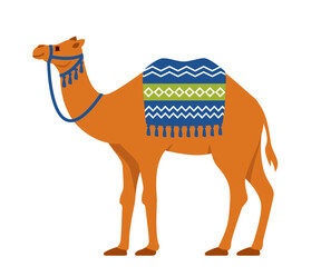 Camel. Two-humped desert animal with bridle and saddle. Vector illustration.