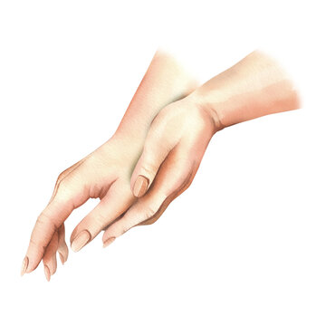 Hands of a white woman, palms side view, wiping, rubbing, hugging each other. Hand drawn watercolor illustration. Elements isolated from background.
