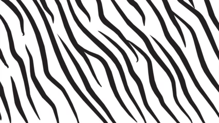 Foto op Aluminium black and white zebra texture pattern symbolizes wild nature, africa © fafay