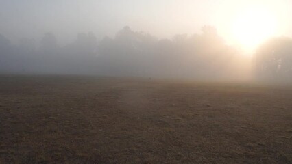 Misty Winter Morning at Dehradun Stadium: Sunbeam Through Fog