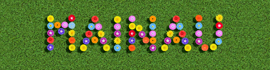 word written with colorful flowers on green clover background