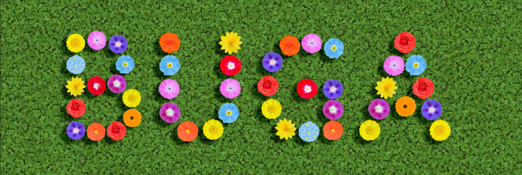 word written with colorful flowers on green clover background