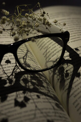 Glasses on a book, a shadow on which draws a heart, flowers on the background