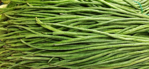 Green long beans bunched. Chinese Long Beans or kacang panjang. Ready sold in traditional market