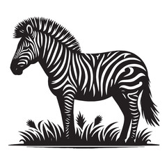 Fototapeta na wymiar Vintage Retro Styled Vector Zebra Silhouette Black and White - illustration 