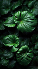 Fototapeta premium Dark botanical background from green big smooth leaves, green tropical. Generative AI