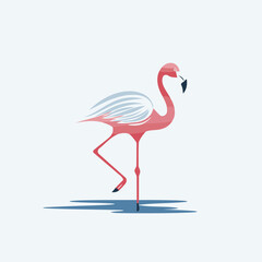 Flamingo. Vector illustration of a flamingo on a white background.