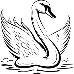 swan with wings on the water. black and white vector illustration