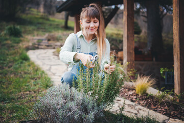 Young happy woman cutting rosemary branches with pruning shears in the garden of a country house, cuttings for seedlings or eating - 743610400