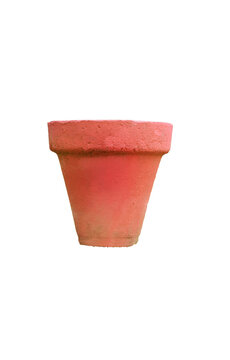 cactus in a pot in white transparant backround