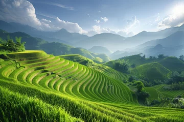 Tuinposter Rijstvelden Rice fields on terraced of Vietnam. Panoramic Vietnam landscapes.