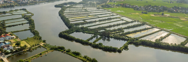 Aerial view of expansive fish farming aquaculture ponds amidst green rice fields, showcasing...