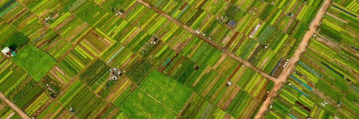 Aerial view of a patchwork of vibrant green agricultural fields with distinct farming patterns,...
