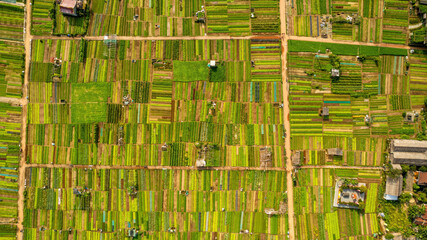 Aerial view of vibrant patchwork farmland with diverse crops, showcasing agricultural patterns -...