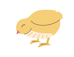 Hand drawn cute standing small yellow Chick. Kawaii Chicken bird nestling icon or print. Isolated on background. Flat vector spring Easter design in colored Doodle style