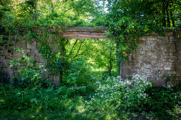 jardin, mur, vieux, nature, porte, plante, du lierre, b&acirc;timent, pierre, fen&ecirc;tre, maison, arbre, feuille, for&ecirc;t, architecture, bois, parc, entr&eacute;e, cong&eacute;, brique, feuillage, gazon, &eacute;t&eacute;, maison