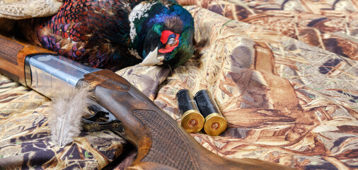 A hunting shotgun and a pheasant feather on it close-up. Scattered around it are spent shotgun...