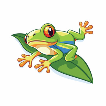 Frog cartoon character isolated on white background. Vector illustration of a green frog.