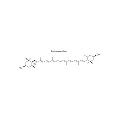 Antheraxanthin skeletal structure diagram.Caratenoid compound molecule scientific illustration on white background.