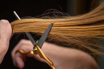 Obraz premium Skracanie włosów nożyczkami długie włosy ciemny blond 