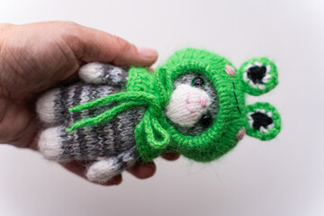 Knitted toy cat with a toad cap on a white background - 743656872