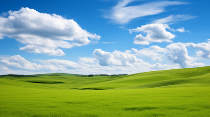 green field and blue sky. field and clouds