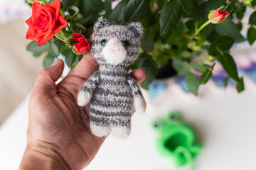 Knitted toy cat with a toad cap on a white background - 743657065