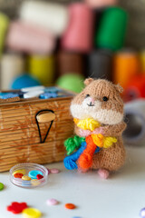 Knitted hamster toy with yarn and knitting accessories - 743657853